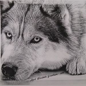 Meet your Posher, April lizzy